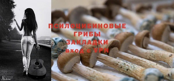 apvp Белокуриха