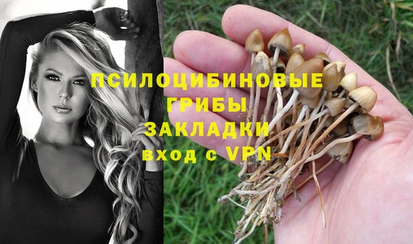 прущая мука Белоозёрский
