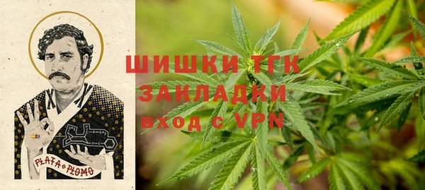 apvp Белокуриха
