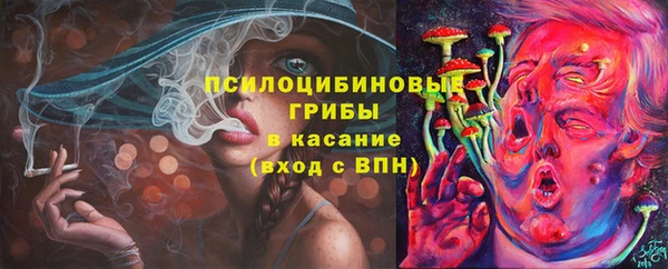 apvp Белокуриха