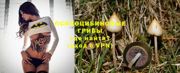 apvp Белокуриха