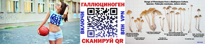 Купить где  Козьмодемьянск  Галлюциногенные грибы Cubensis 